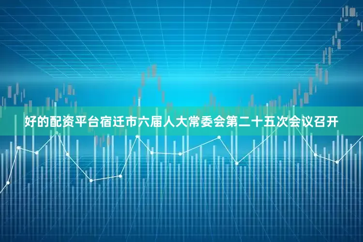 好的配资平台宿迁市六届人大常委会第二十五次会议召开