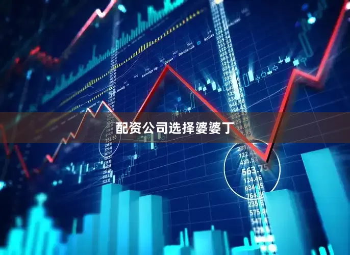 配资公司选择婆婆丁