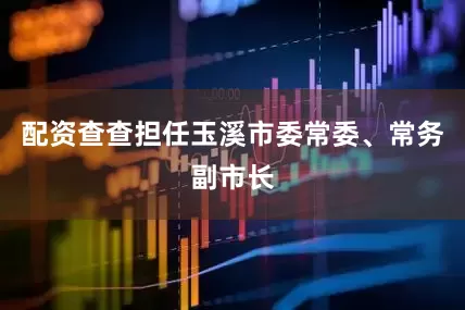 配资查查担任玉溪市委常委、常务副市长